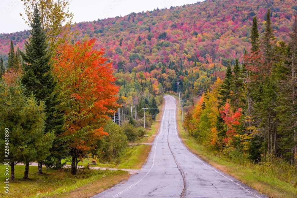 Road scene in New England with Fall color Road scene in New England with Fall color