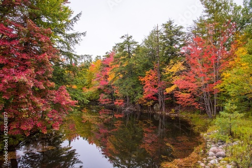 Colorful fall color reflection in New England