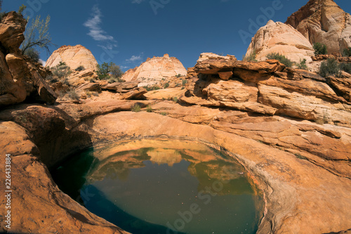 “Tanks,” an interesting set of undulating waterpockets perched in a row high above the canyon floor. Capitol Gorge Trail, Capitol Reef National Park, Utah, USA photo