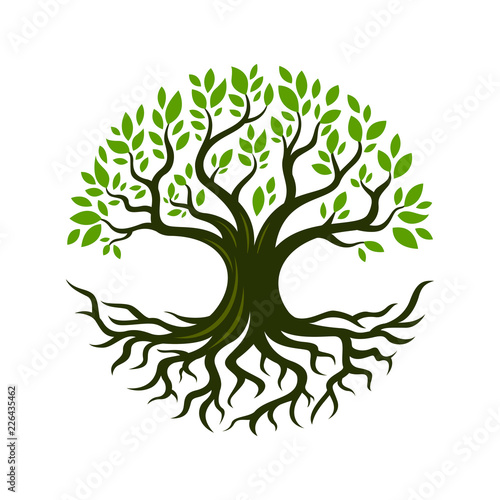 Tree root design illustration