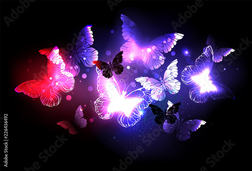Swarm of night butterflies © Nelli Valova