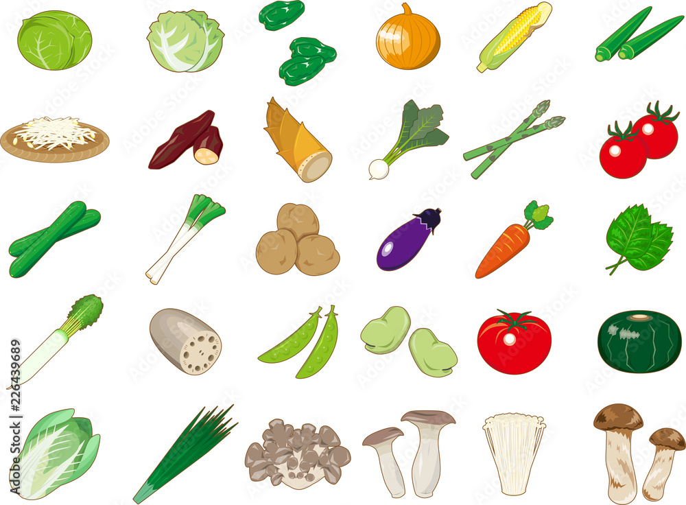 食材アイコン イラスト 野菜 レタス キャベツ たまねぎ とうもろこし Stock Vector Adobe Stock 食材アイコン イラスト 野菜 レタス キャベツ たまねぎ とうもろこし Stock Vector Adobe Stock