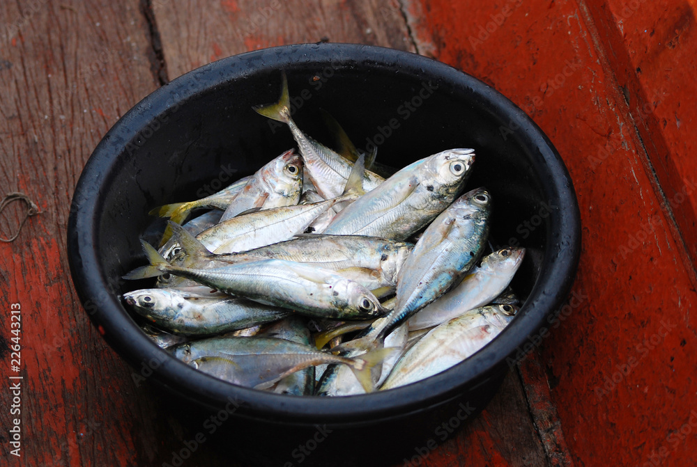 Fresh fish in a basket. Fresh fish from commercial fisheries. Fresh fish in a basket. Fresh fish from commercial fisheries.