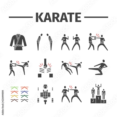 Karate icons set. Vector sports signs for web graphics.