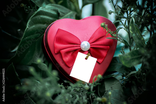 Red heart box decorated with bow and pearls with green leafy backdrop.