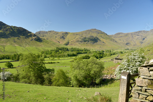 Pike of Blisco at head of Mickleden valley, Lake District photo
