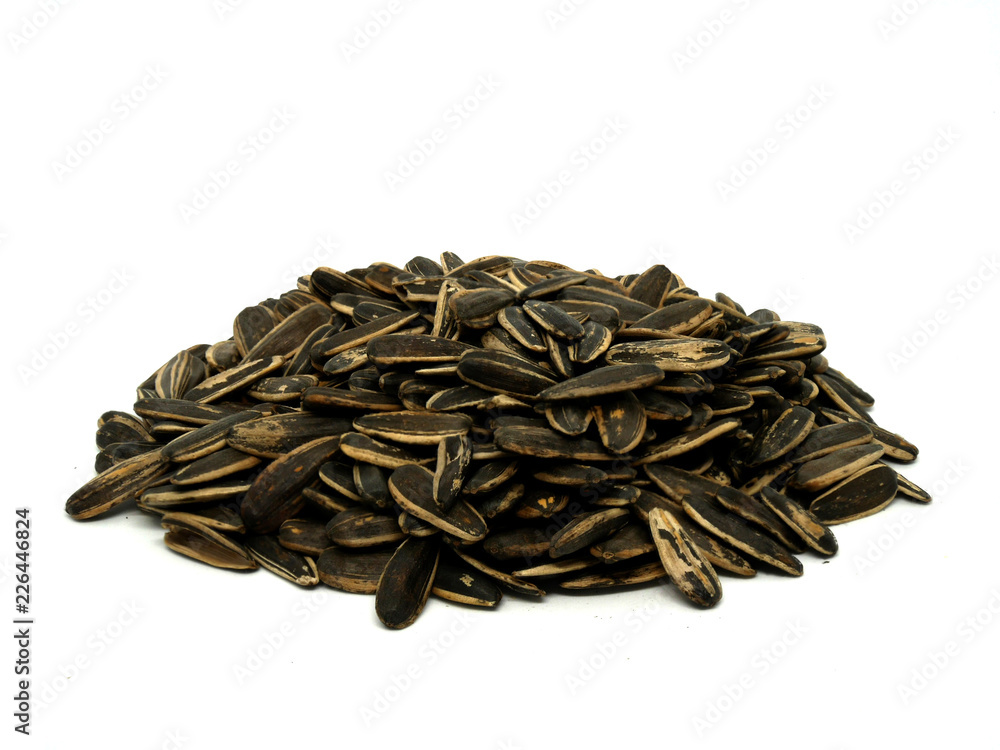 Sun Flower seed isolated on white background Sun Flower seed isolated on white background