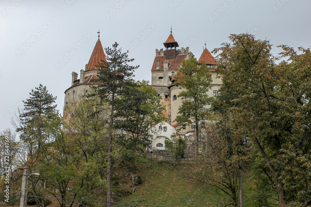 Fototapeta premium Interior of Bran castle in Transylvania, Brasov region of Romania
