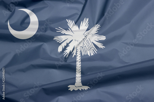 Fabric flag of South Carolina. Crease of South Carolina flag background, White palmetto tree on an indigo field. The canton contains a white crescent.
