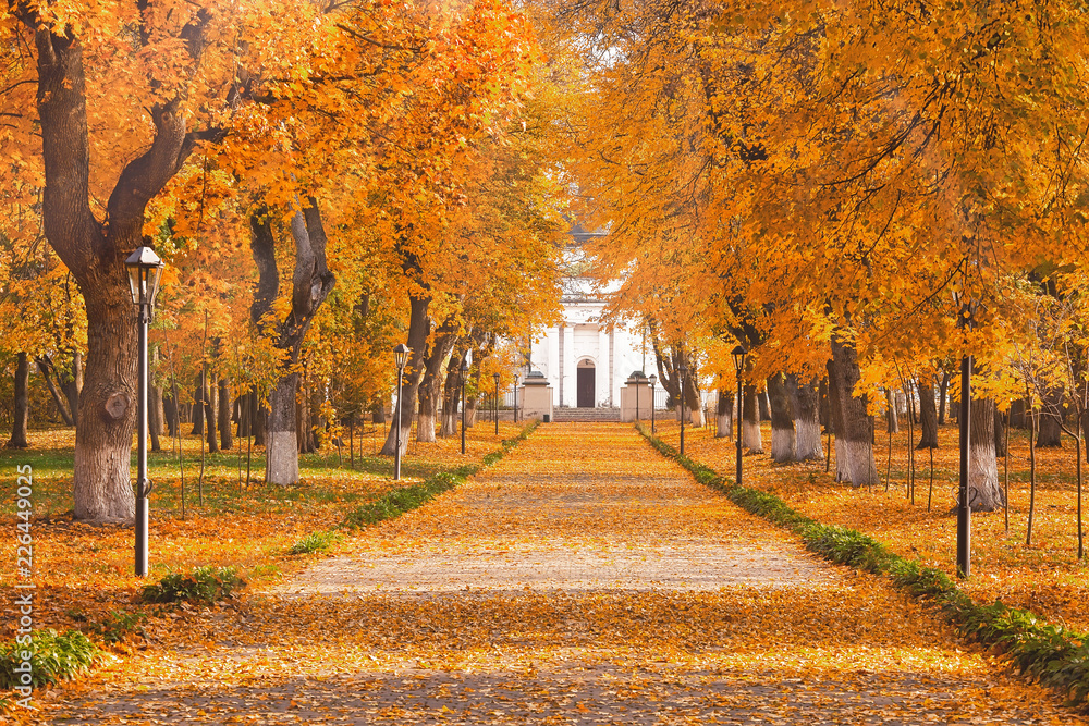Path through the landscape park on a sunny autumn mornng, beautiful fall season outdoor theme