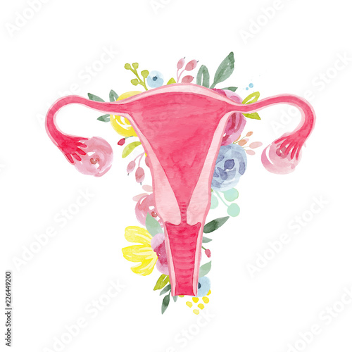 Fotótapéta Woman uterus with flowers illustration