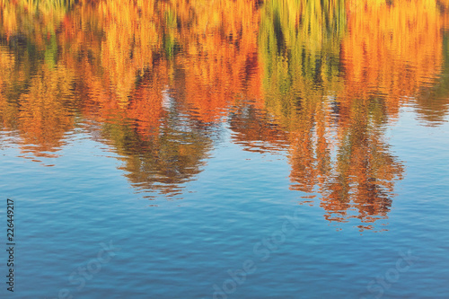 Fall season outdoor background, colorful trees reflect in the water