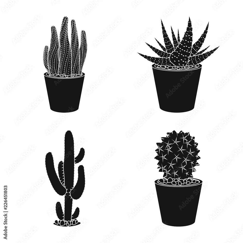 Fototapeta Vector design of cactus and pot logo. Collection of cactus and cacti vector icon for stock.