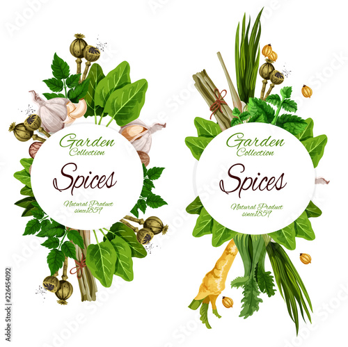Organic spices and herbal garden seasonings