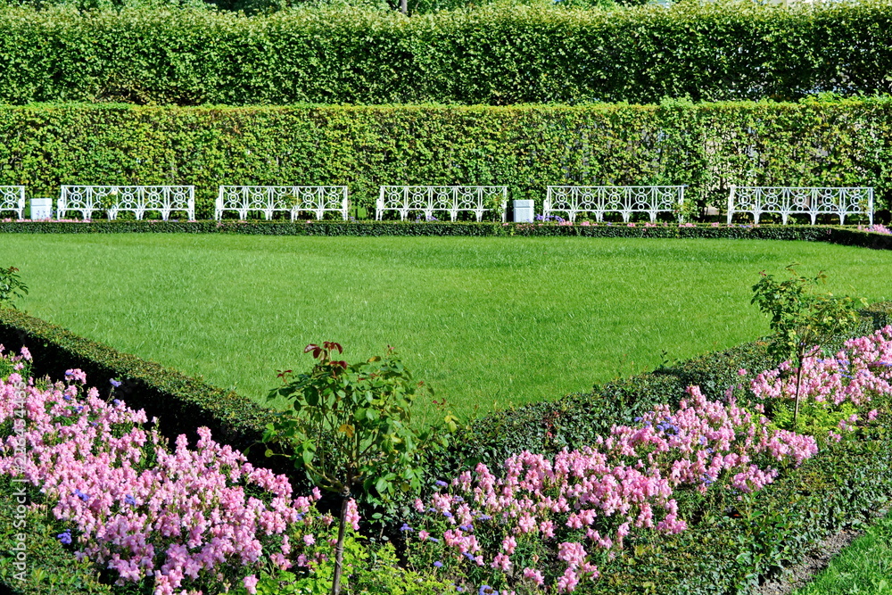 angle symmetrical lush flower beds with saplings of trees which stand in a semicircle smooth white benches for rest fenced with green hedges in two floors in beautiful garden at summer day