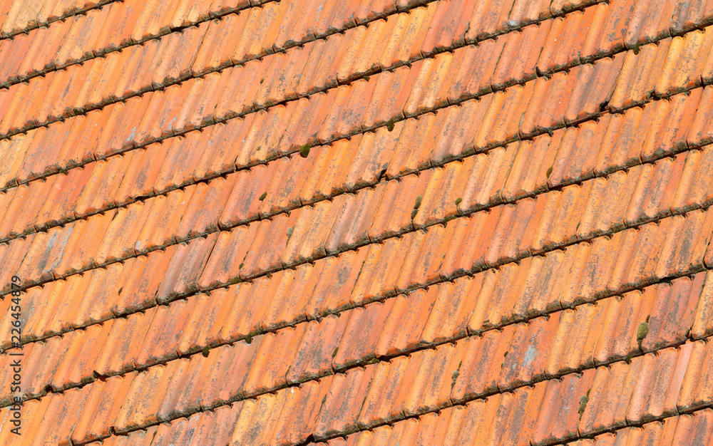 Rooftiles on a dutch house