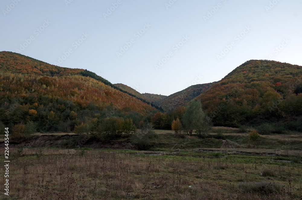 Fototapeta premium Autumn Forest Valley