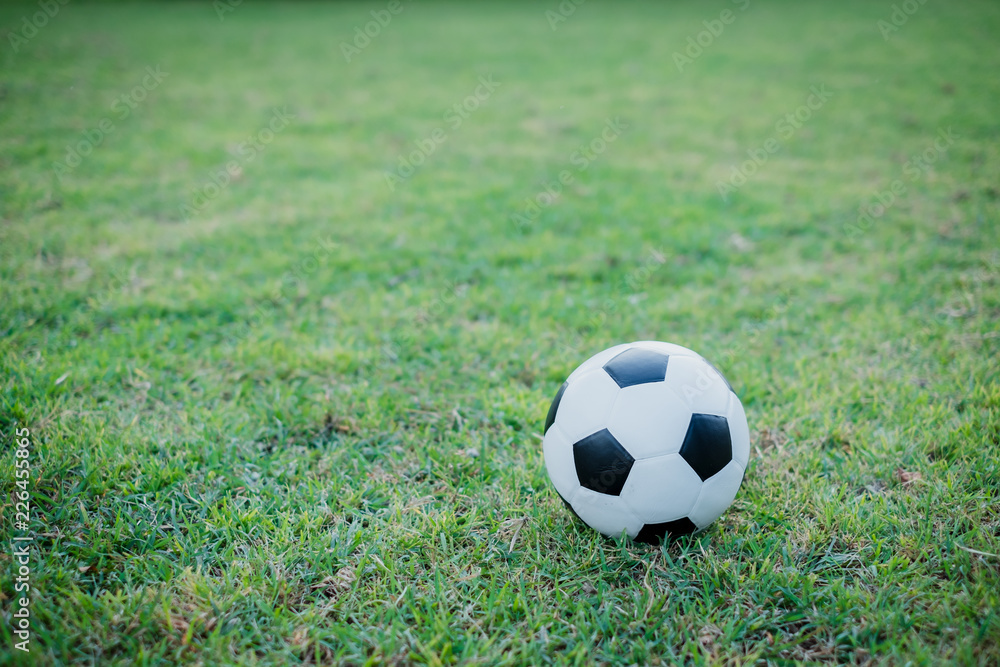 Fototapeta premium soccer ball on soccer field