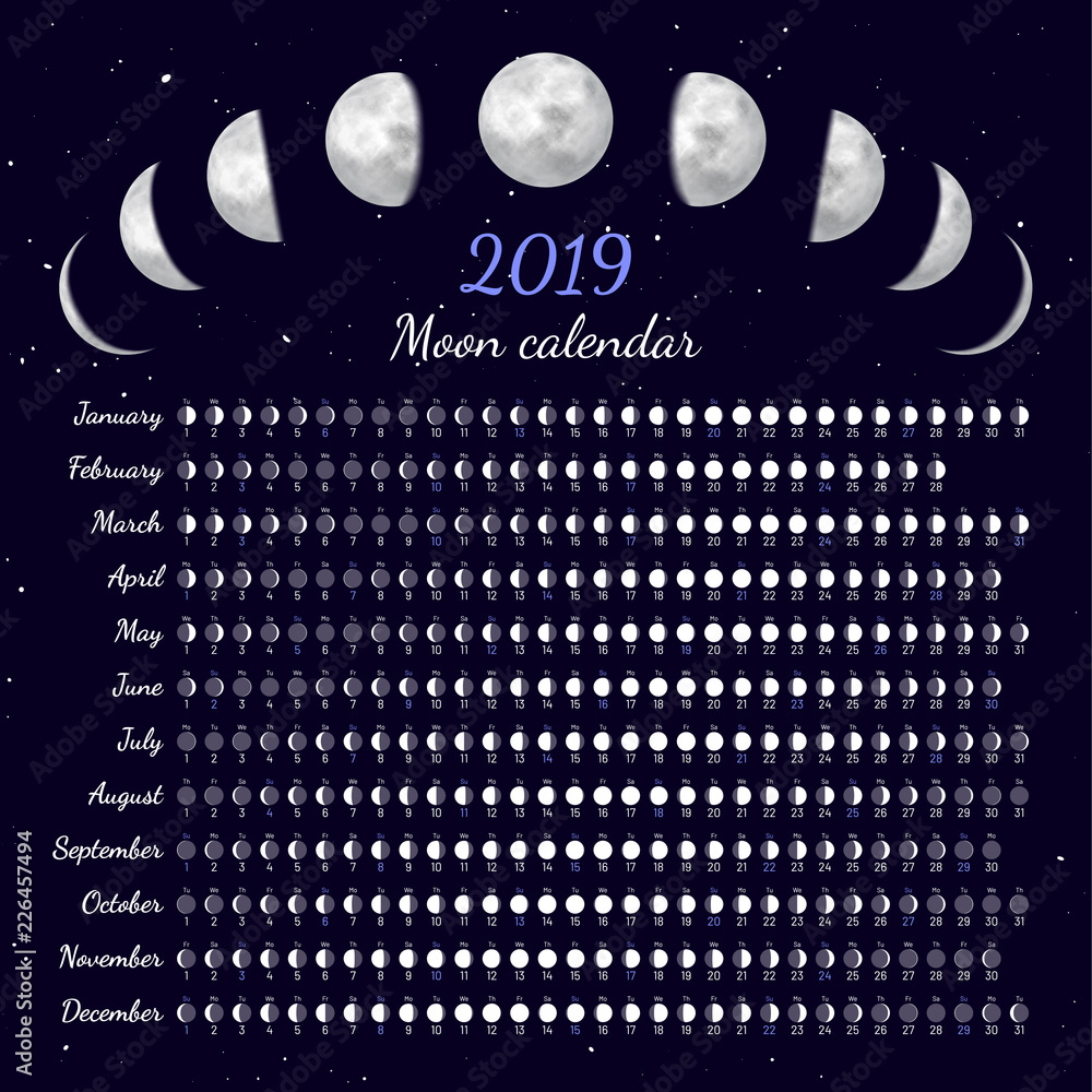 Moon phases calendar. Dates for full, new and every phase in between.  Cycles of the moon vector illustration. Daily moon illumination and moon  age schedule. Lunar cycles at 2019 year. Stock Vector