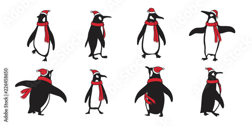 penguin vector Christmas Santa Claus Hat Xmas icon logo cartoon character bear polar bear illustration