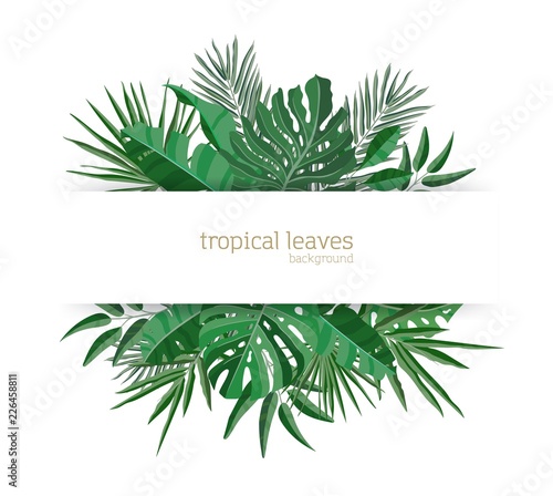 Horizontal banner template decorated with green foliage of tropical paradise plants or green exotic palm leaves. Elegant Hawaiian composition. Colorful seasonal realistic vector illustration.