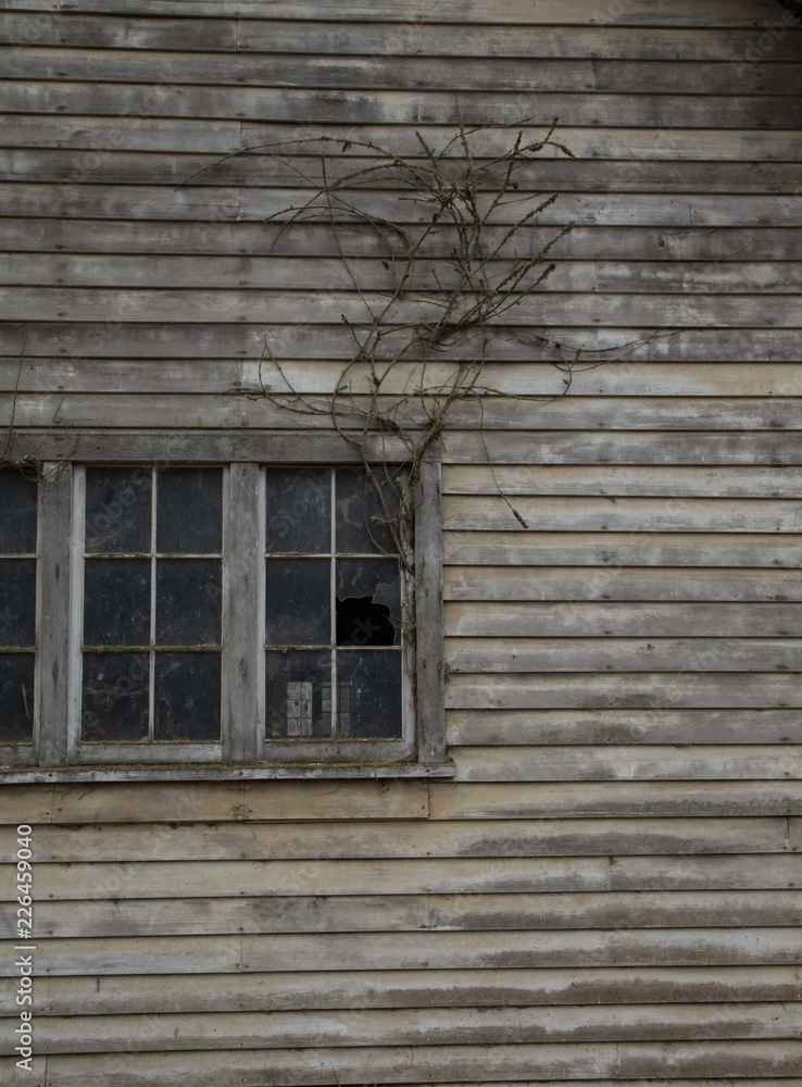 Isolated, partial view of old weathered grey wooden barn with paned windows Isolated, partial view of old weathered grey wooden barn with paned windows