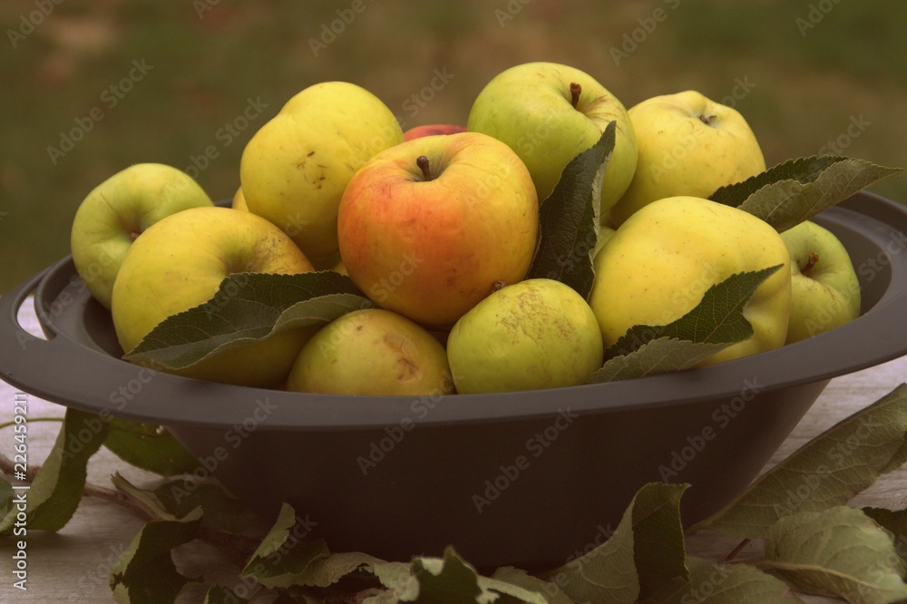 coupe de pommes d'automne,fruit de saison coupe de pommes d'automne,fruit de saison