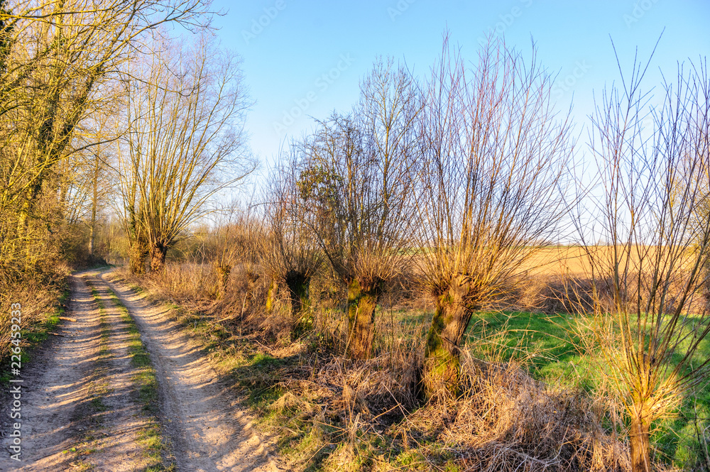 A small Country road in the Flemish Country side in Belgium on a clear winter evening. A small Country road in the Flemish Country side in Belgium on a clear winter evening.