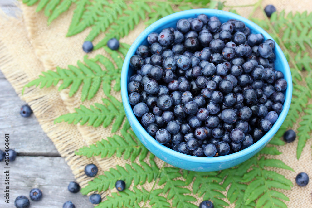 Forest blueberries. Berries in a plate, top view. Forest blueberries. Berries in a plate, top view.