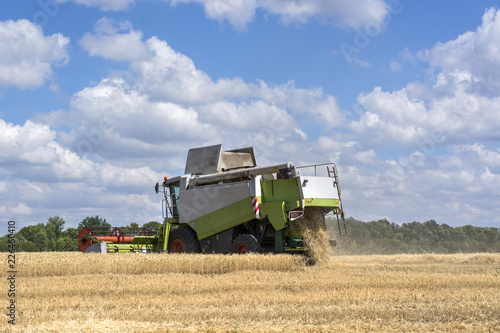 combine-harvester in the field to gather the harvest of grain crops  rye  wheat