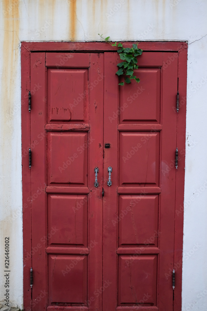 Red doors on white background with green ivy on top