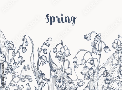 Monochrome horizontal backdrop with lily of the valley flowering plants hand drawn with contour lines on white background and handwritten word Spring