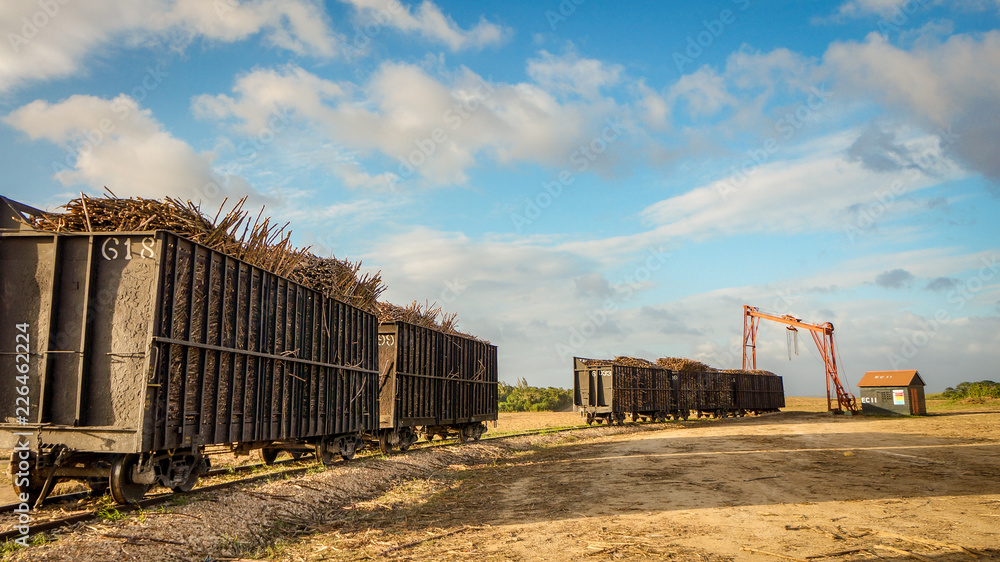 Sugarcane train waiting to be driven Sugarcane train waiting to be driven