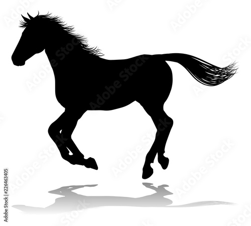 A horse animal detailed silhouette graphic