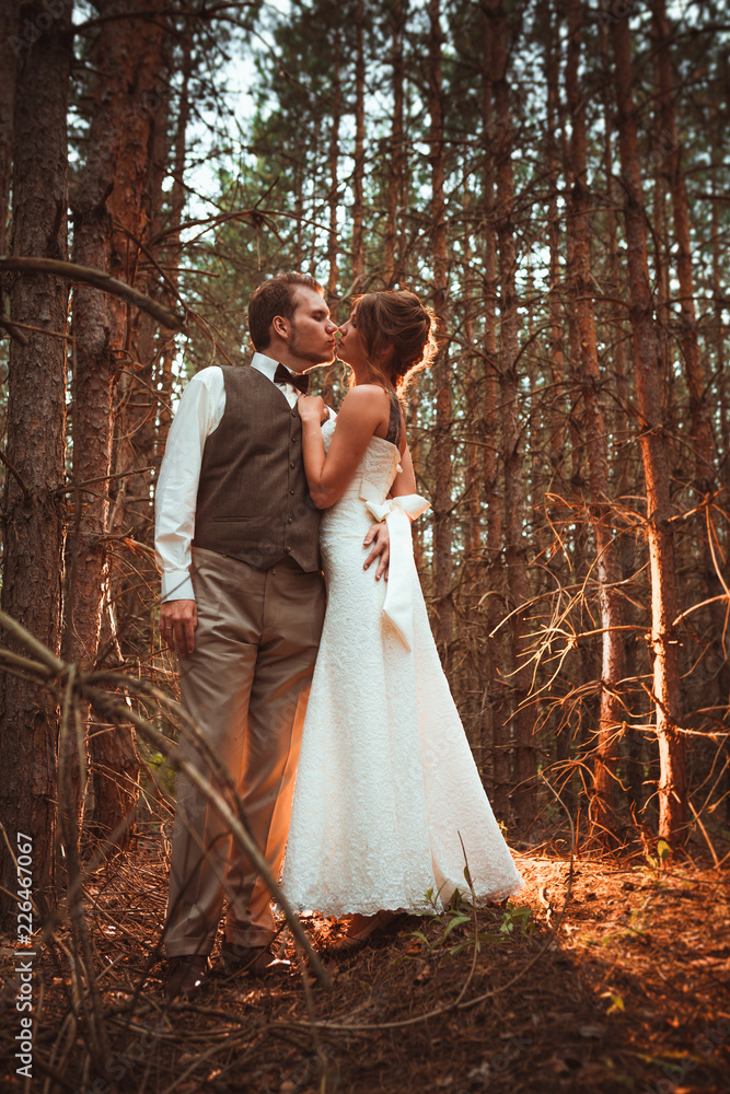 bride and groom in the forest of firs bride and groom in the forest of firs