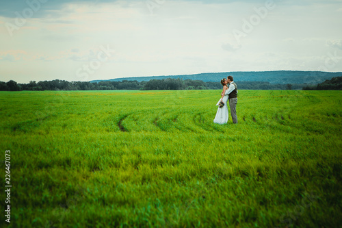 bride and groom stand on the background of the field