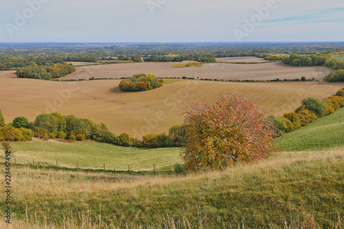 Beautiful Berkshire Landscape