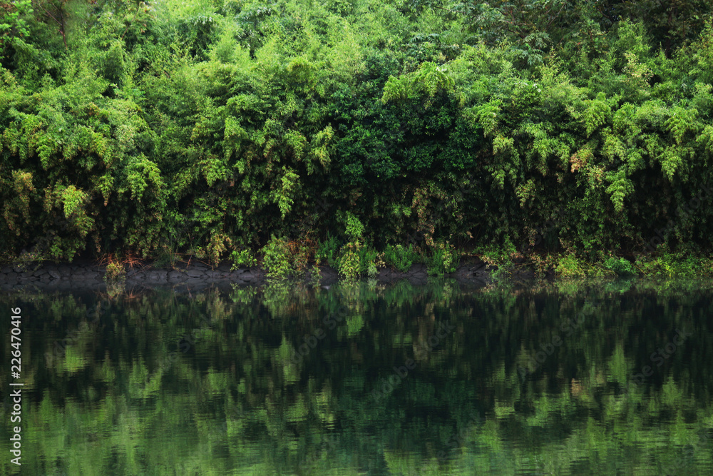A landscape with rich vegetation on the waterside reflected on the surface of the water A landscape with rich vegetation on the waterside reflected on the surface of the water