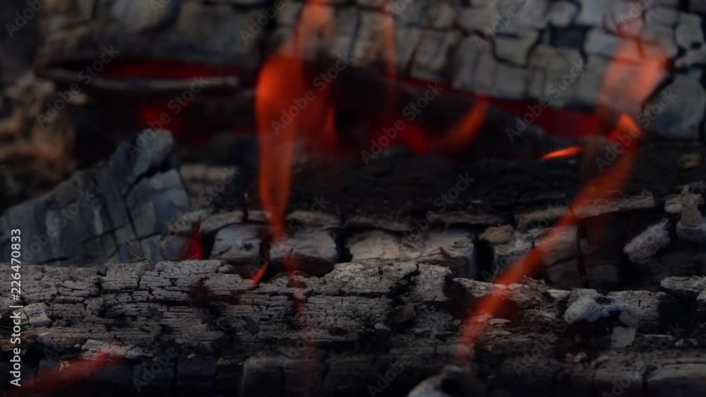 Super close up shot of burning flame and smoke on firewoods in extreme slow motion. Beautiful mind bending view of campfire. Shooting with high speed camera.
Super close up shot of burning flame and smoke on firewoods in extreme slow motion. Beautiful mind bending view of campfire. Shooting with high speed camera.