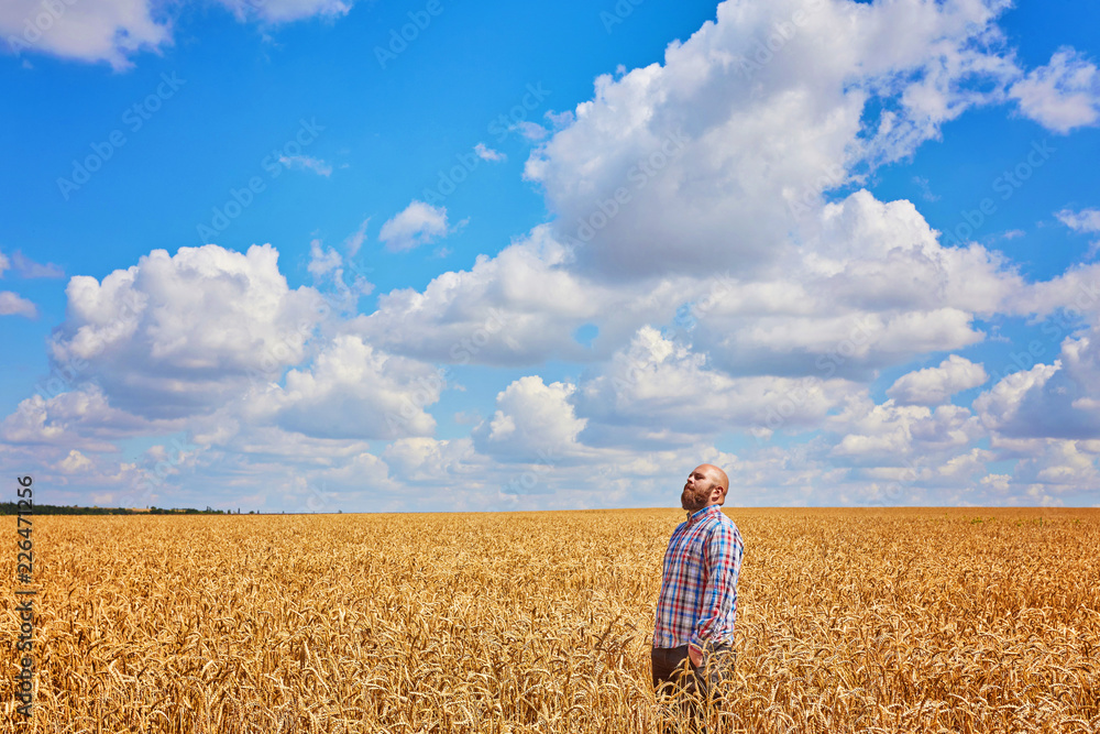 Farmer walking through a wheat field Farmer walking through a wheat field
