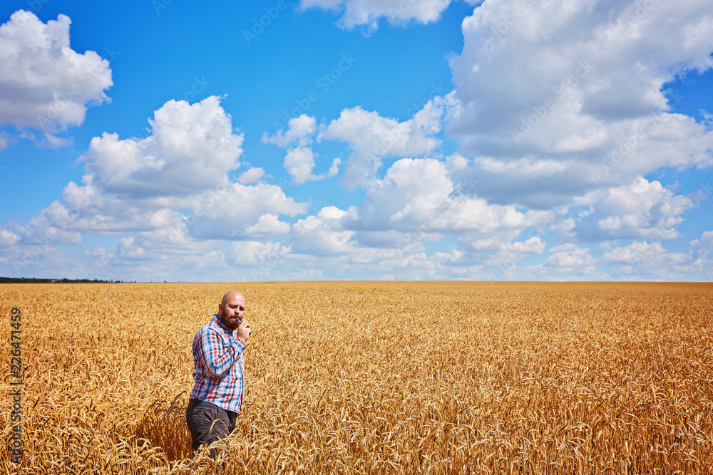 farmer smokes electronic cigarette and call in a ripe field of wheat with blue sky farmer smokes electronic cigarette and call in a ripe field of wheat with blue sky