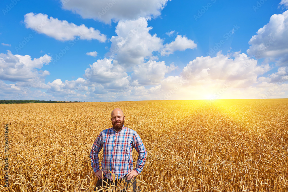 farmer standing in a wheat field farmer standing in a wheat field