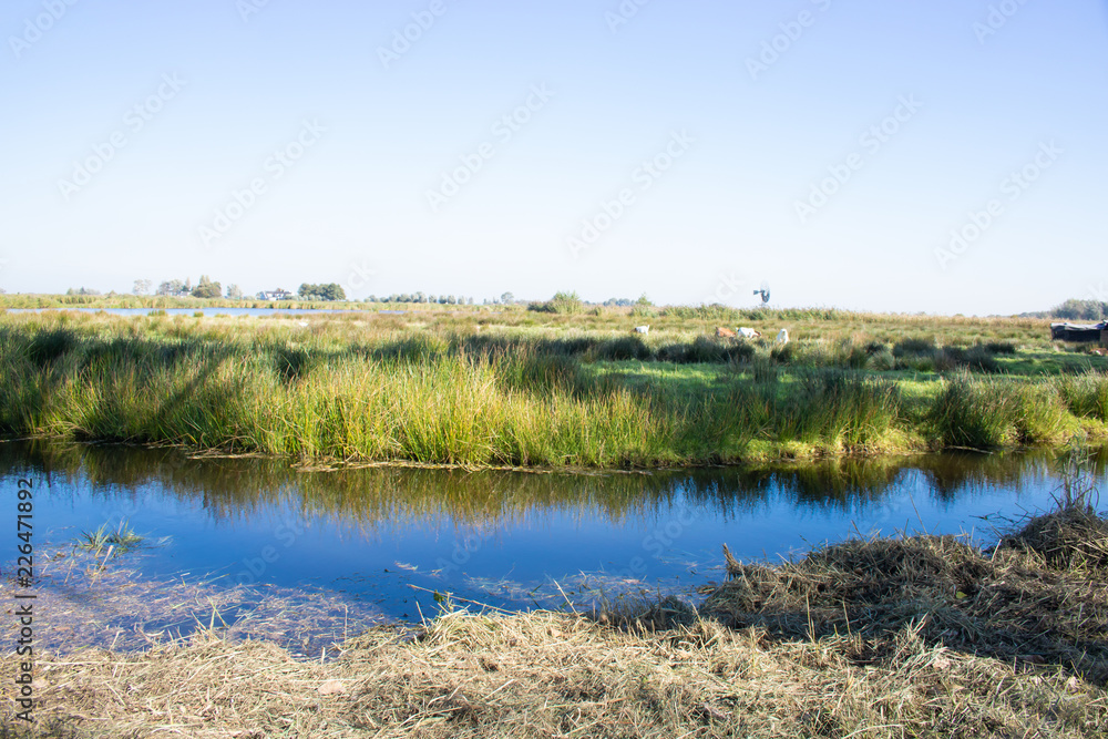 Polder landscape in Holland