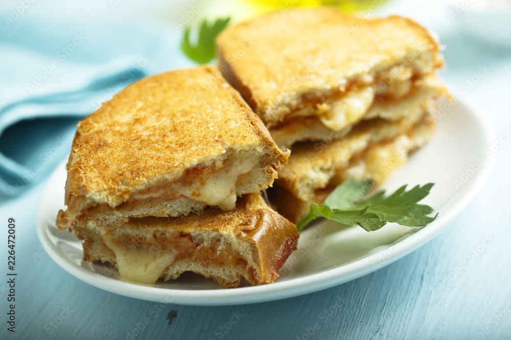 Cheese toasts with tomato