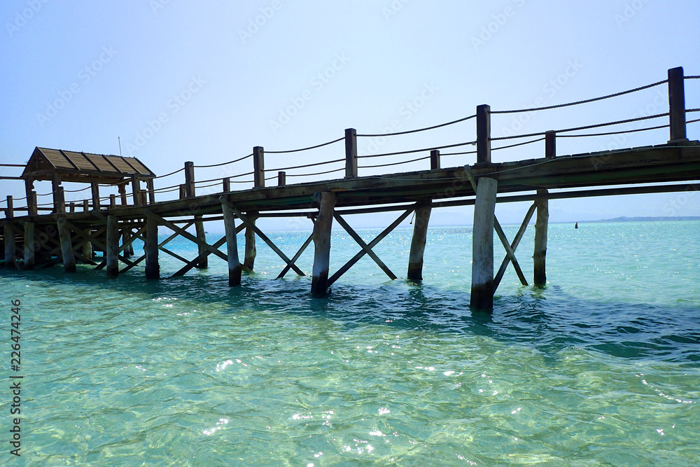 beauty sea mole from wood beauty sea mole from wood