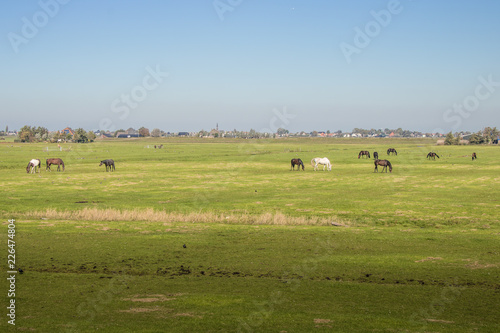 Polderlandschaft in Holland