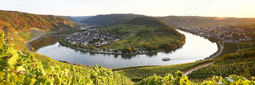 Schilderij op canvas bend of Moselle and vineyards