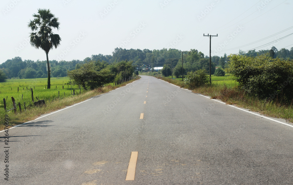 Asphalt road with yellow line