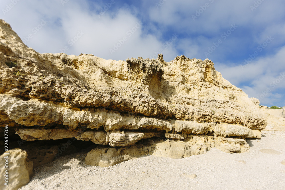Coralline limestone, close to the Azure window in Gozo, Malta