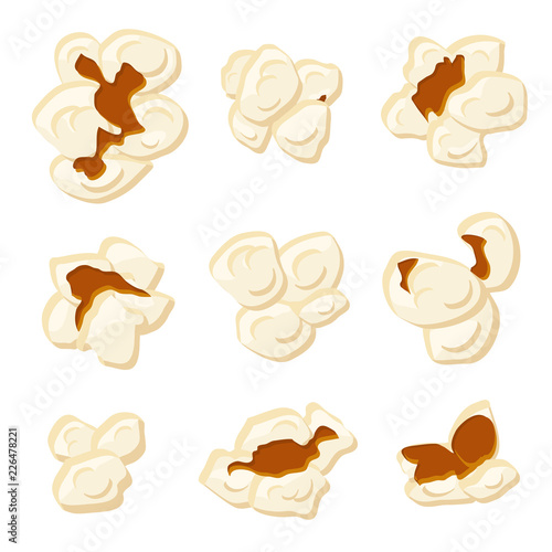 Popcorn kernels. Cartoon roasted sweetcorn vector isolated signs. Snack kernel corn, popcorn food for cinema illustration
